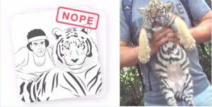 #NoTigerSelfies