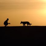activités à faire avec son chien avant l'hiver