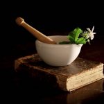 remèdes naturels pour soigner une morsure de chien