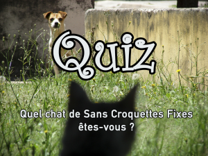 quel chat de sans croquettes fixes êtes vous
