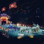 cirque et animaux sauvage
