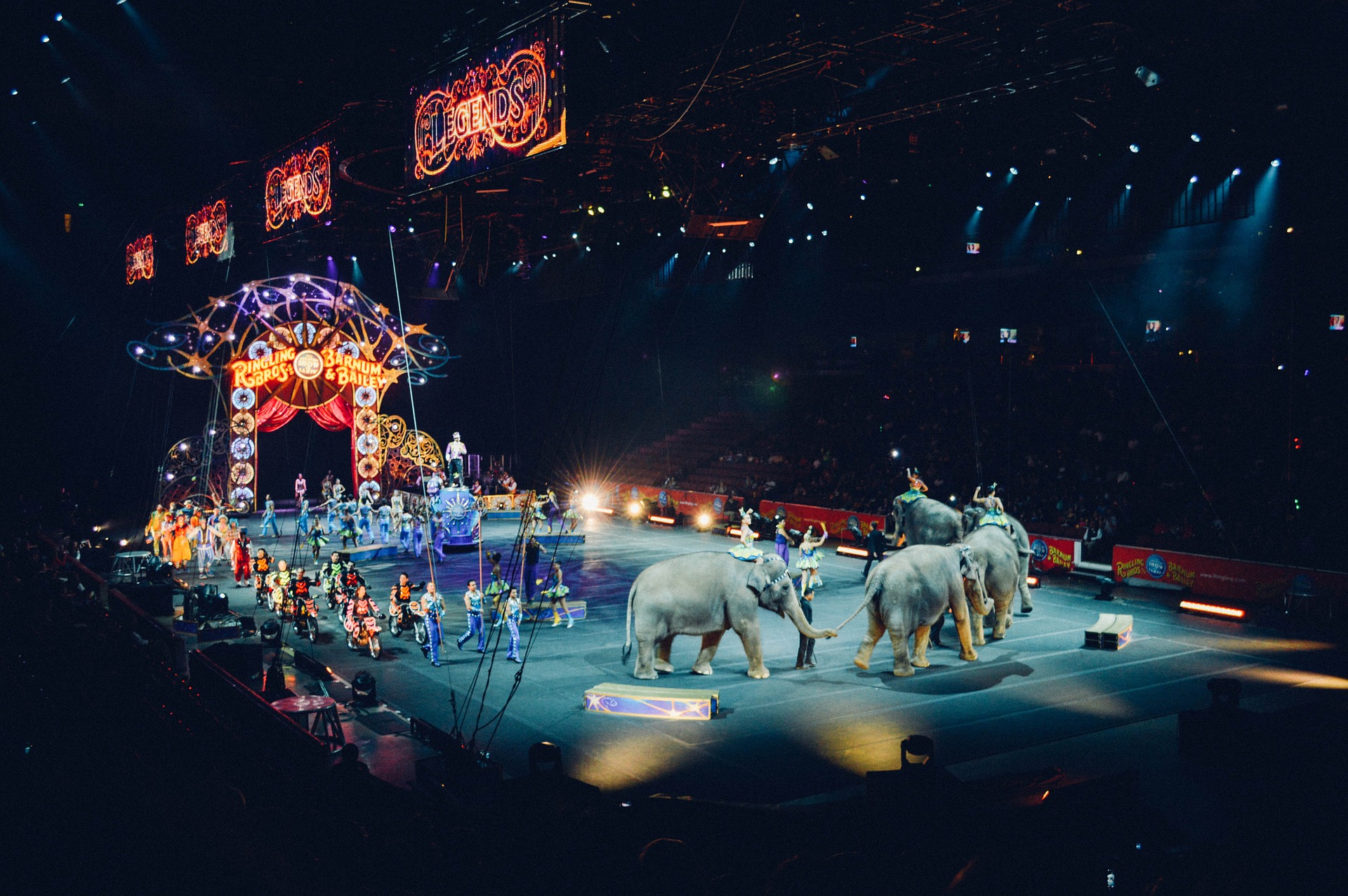cirque et animaux sauvage