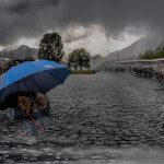 ouragan irma et animaux