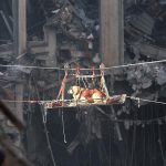 les chiens héros du 11 septembre