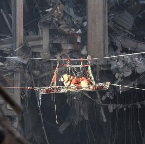les chiens héros du 11 septembre