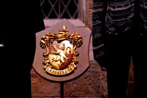 un refuge pour animaux s'inspire d'Harry Potter