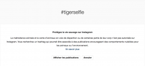 instagram s'engage pour la cause animale