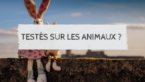testés sur les animaux