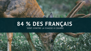 contre la chasse à courre