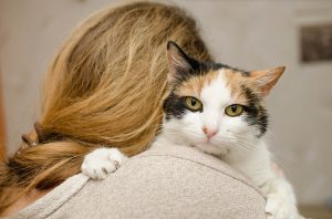 bonnes raisons de devenir famille d'accueil pour animaux