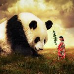 pourquoi ne pas prendre de photos avec des animaux sauvages