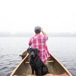 qualité à avoir adopter un animal