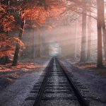 japon train cris d'animaux