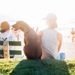 avantages animal de compagnie