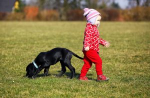 chiens choses apprendre enfants