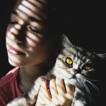 signes qui montrent que votre chat vous aime