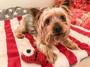 petits monstres pour la cause animale