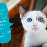 lexique du vocabulaire de la protection animale