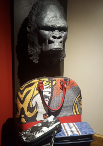 lyon vide dressing solidaire sans croquettes fixes