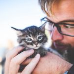 éducation positive pour chat