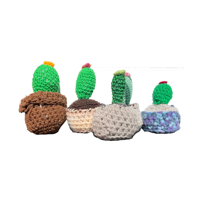 Cactus en laine sans croquettes fixes
